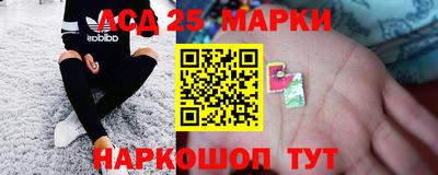 крисы Шелехов