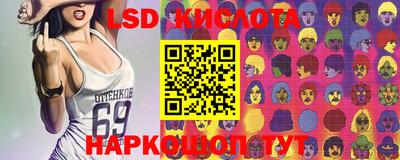 крисы Шелехов