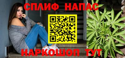 крисы Шелехов