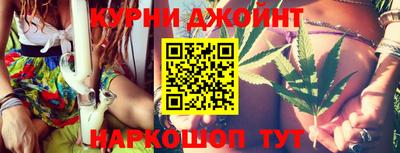 крисы Шелехов