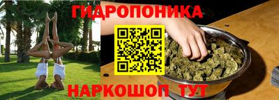 крисы Шелехов