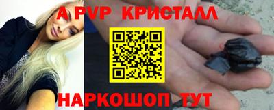 крисы Шелехов