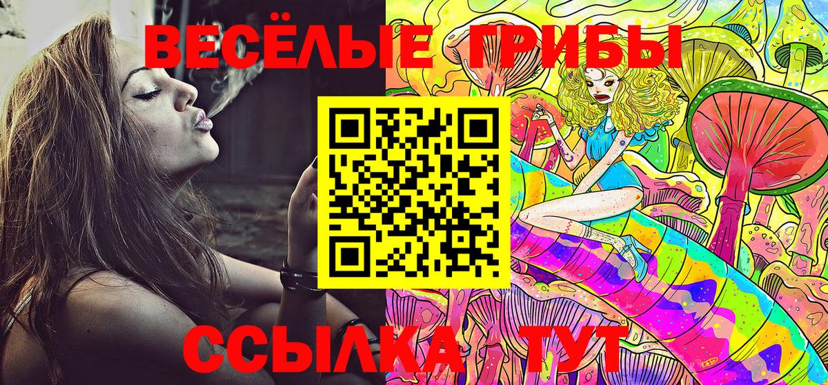 Псилоцибиновые грибы мухоморы Северск