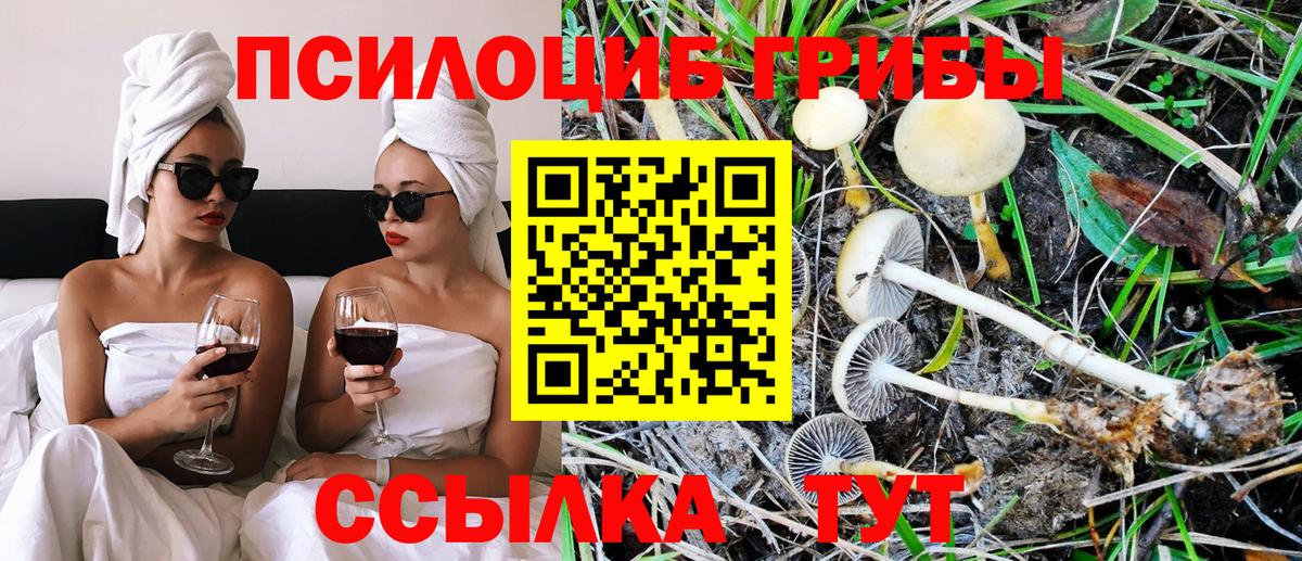 Псилоцибиновые грибы мицелий  Вход с VPN  Псилоцибиновые грибы прущие грибы  Северск 